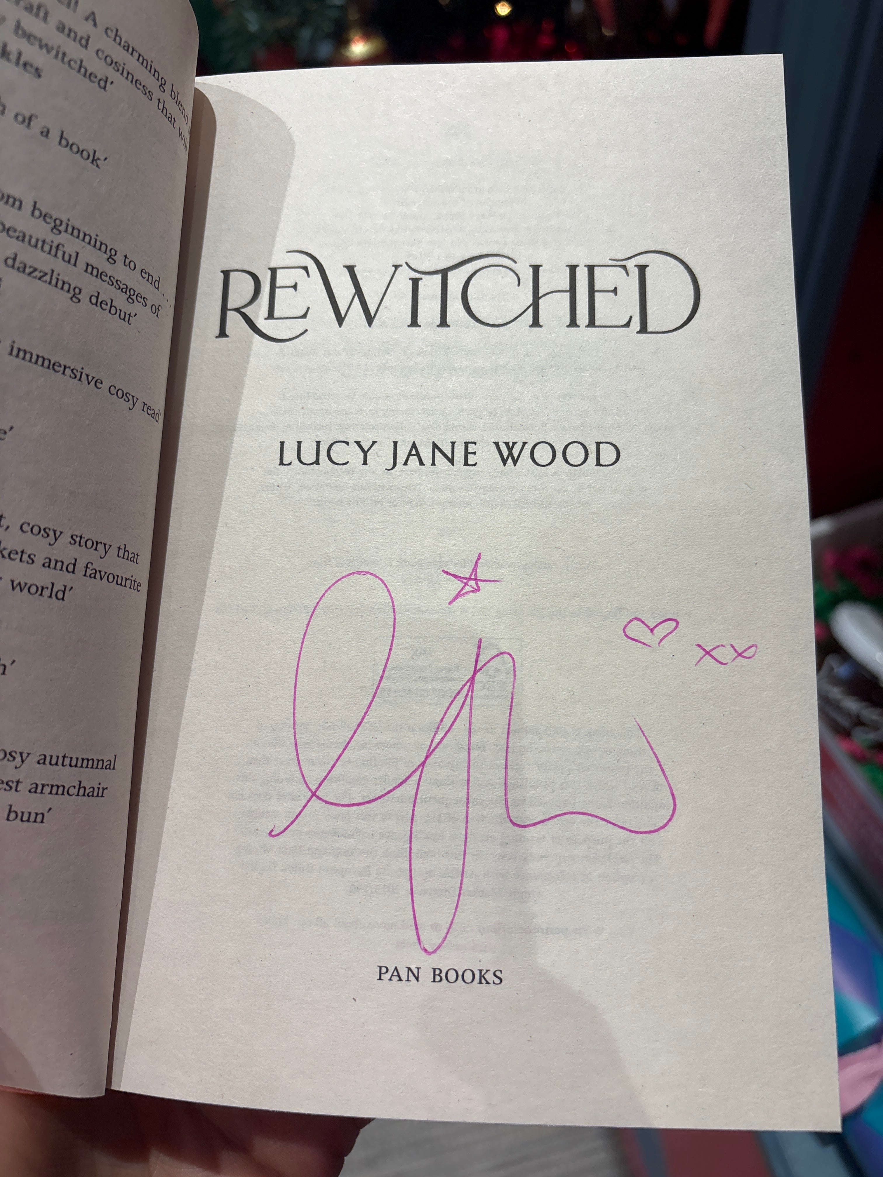 😻 The Cosy Cat Box