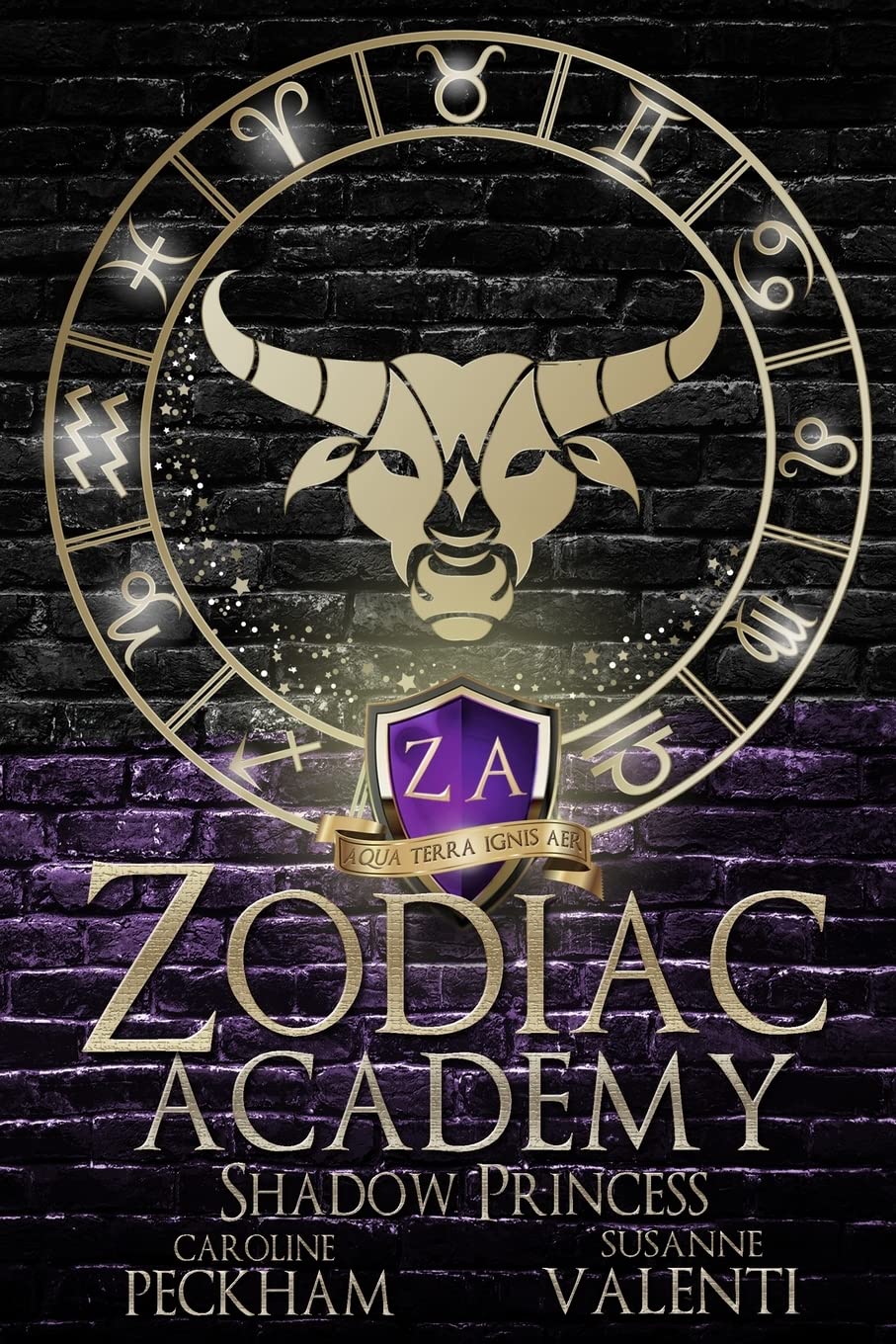 Zodiac Academy: Shadow Princess (Book #4)