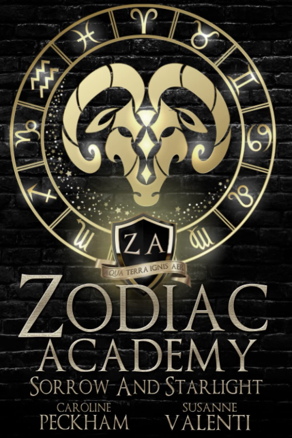 Zodiac Academy: Sorrow and Starlight (Book #8)