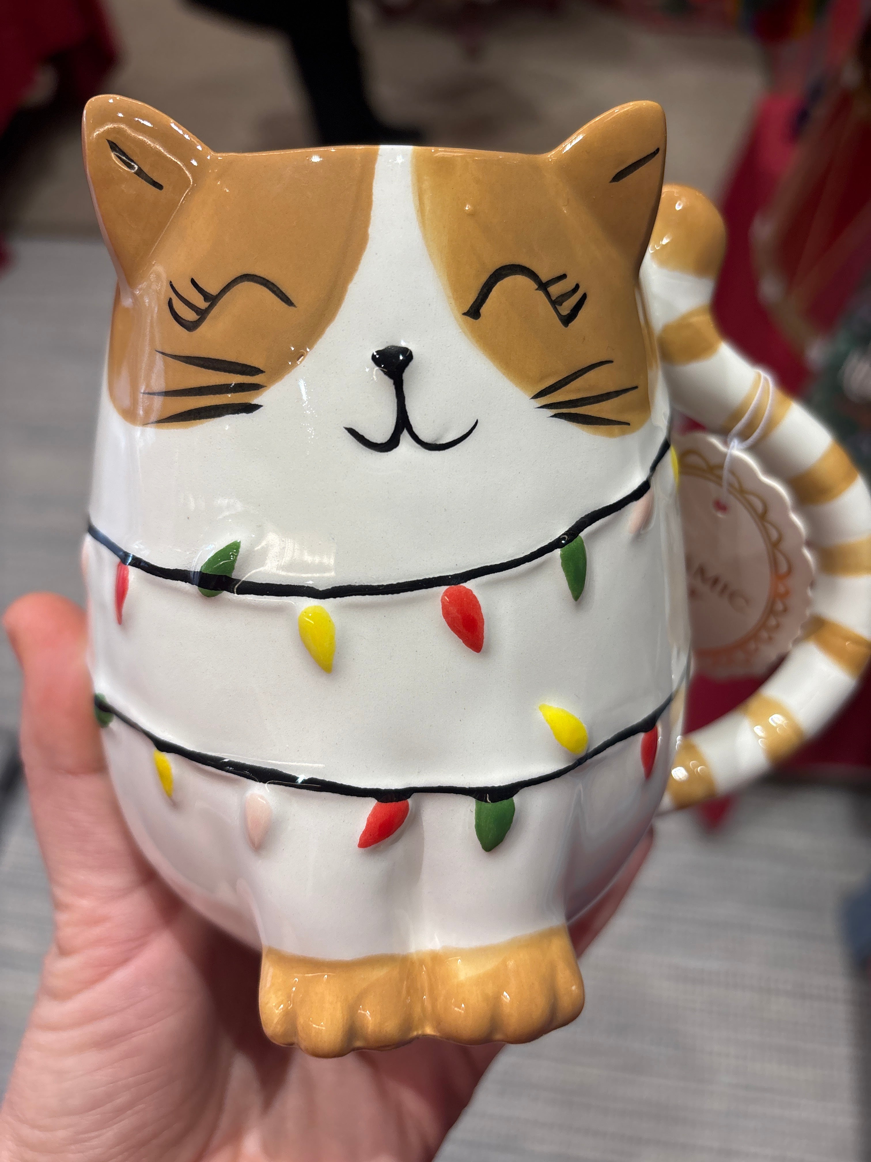 😻 The Cosy Cat Box