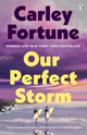 Our Perfect Storm