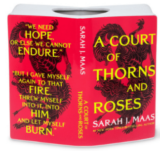 A Court of Thorns and Roses Open Book Vase