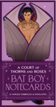 Pre-Order: A Court of Thorns and Roses Official Bat Boy Notecards: 12 Winged Embraces & Envelopes
