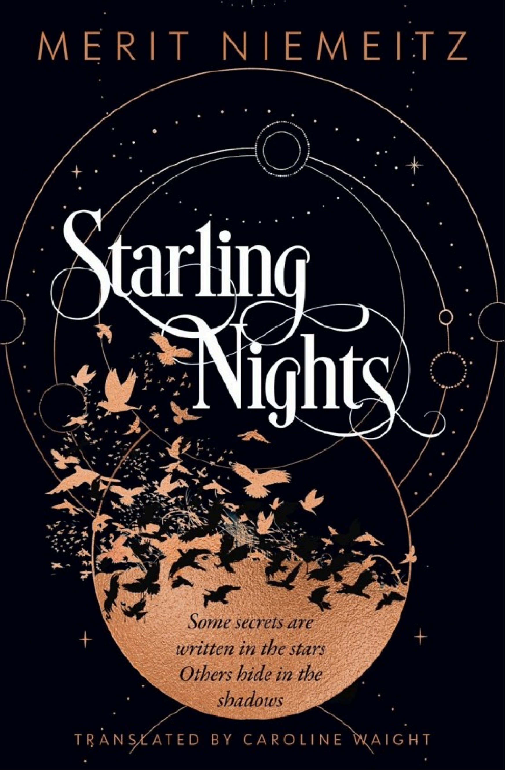 Starling Nights